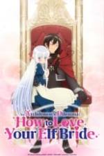 An Archdemon's Dilemma: How to Love Your Elf Bride Box Art