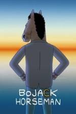 BoJack Horseman Box Art