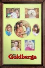 The Goldbergs Box Art