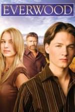 Everwood Box Art