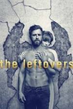 The Leftovers Box Art