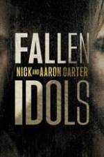 Fallen Idols: Nick and Aaron Carter Box Art