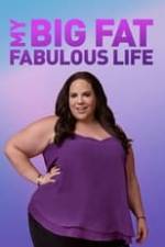 My Big Fat Fabulous Life Box Art