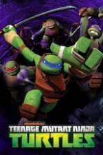 Teenage Mutant Ninja Turtles Box Art