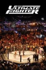 The Ultimate Fighter Box Art