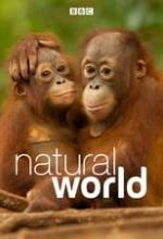 Natural World Box Art