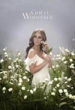 Ghost Whisperer Box Art