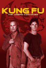 Kung Fu: The Legend Continues Box Art