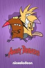 The Angry Beavers Box Art