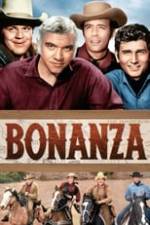 Bonanza Box Art